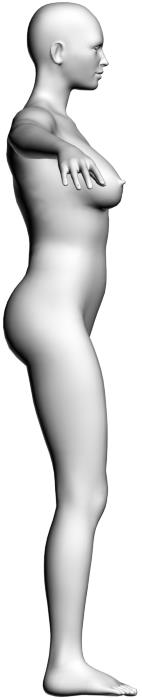 66 Figura 40 Vistas frontal e lateral, respectivamente, da superfície do fantoma feminino não grávido utilizado para