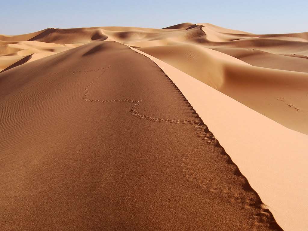 Dunas: são o resultado do acúmulo de partículas de areia