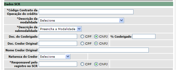 Tela Inclusão de Registro - Passo