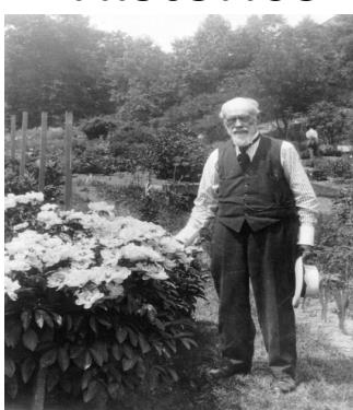 Histórico Relato de Beal: Em 1878, Beal coletou duas variedades de milho; uma oriunda de Oakland, e outra de Allegan, populações distante uns 200 km mesmas altitudes em Michigan.