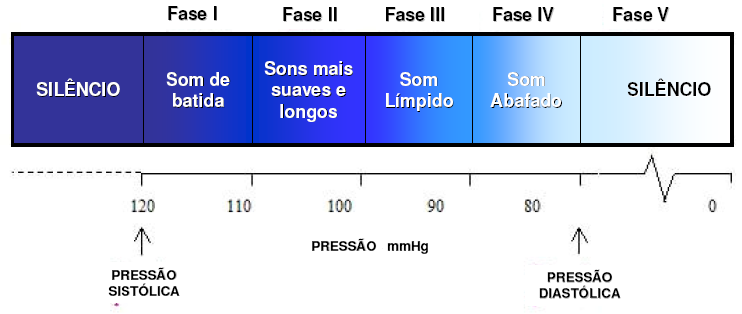 1.4 Esfigmomanómetros e outros métodos de medir a pressão arterial Existem nos dias de hoje vários métodos de medição da pressão sanguínea.