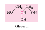 GLICEROL Ao ser esterificado por ácidos gordos, o glicerol