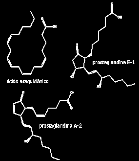 Prostaglandinas Estes lipídos não desempenham funções estruturais, mas são componentes importantes em vários processos metabólicos e de comunicação intercelular.