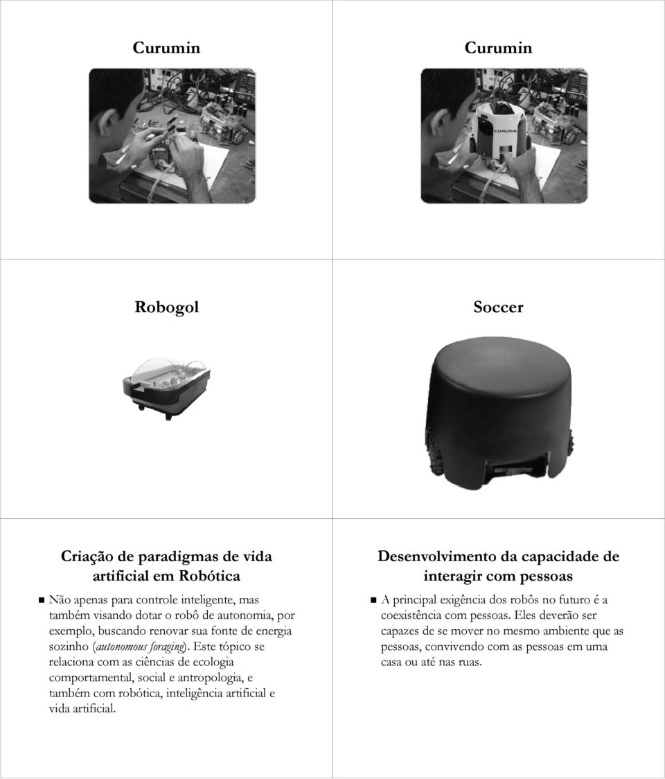 Este tópico se relaciona com as ciências de ecologia comportamental, social e antropologia, e também com robótica, inteligência artificial e vida artificial.