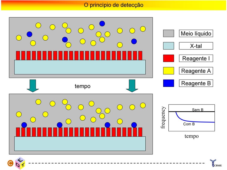 I Reagente A tempo Reagente