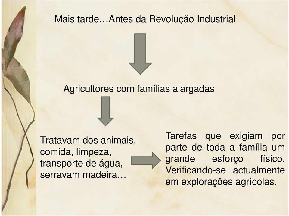 serravam madeira Tarefas que exigiam por parte de toda a família um