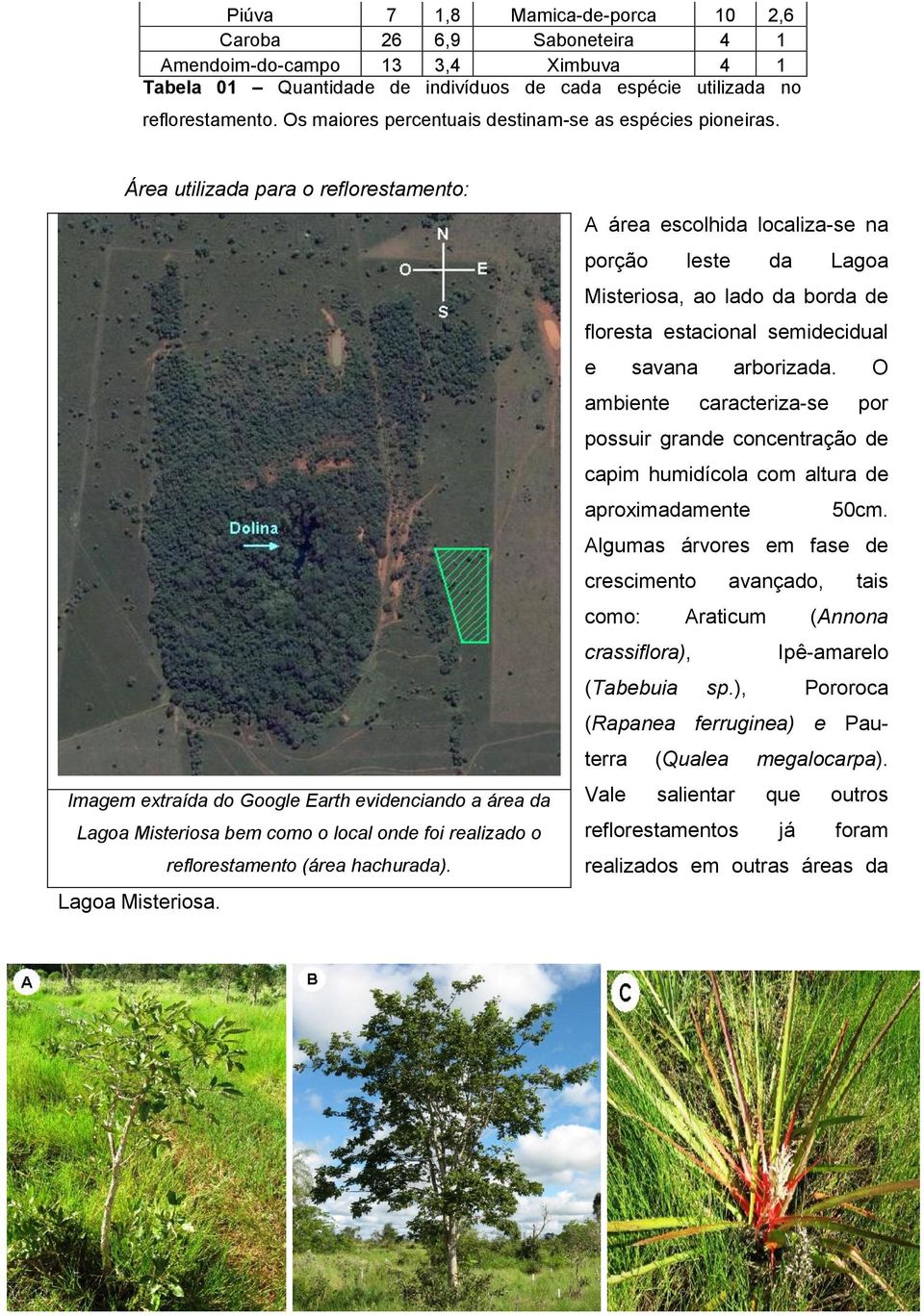 Área utilizada para o reflorestamento: Imagem extraída do Google Earth evidenciando a área da Lagoa Misteriosa 