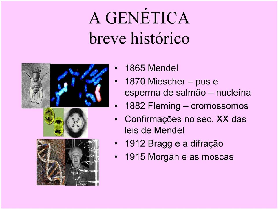 Fleming cromossomos Confirmações no sec.