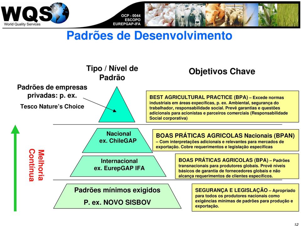 Prevê garantias e questões adicionais para acionistas e parceiros comerciais (Responsabilidade Social corporativa) Melhoria Contínua Nacional ex. ChileGAP Internacional ex.