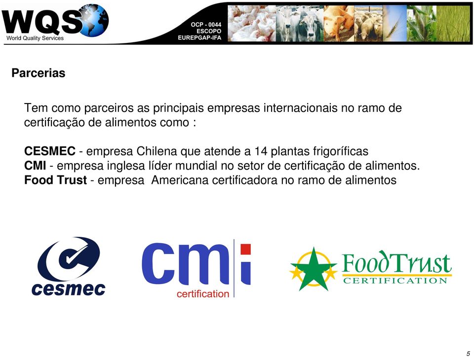 frigoríficas CMI - empresa inglesa líder mundial no setor de certificação de