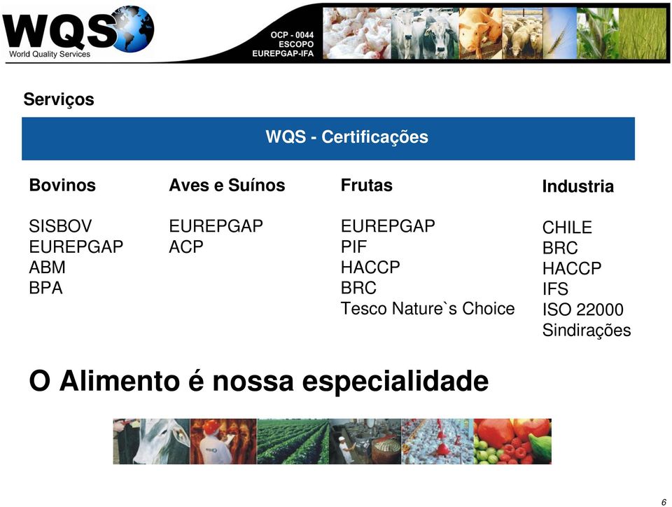 EUREPGAP PIF HACCP BRC Tesco Nature`s Choice CHILE BRC