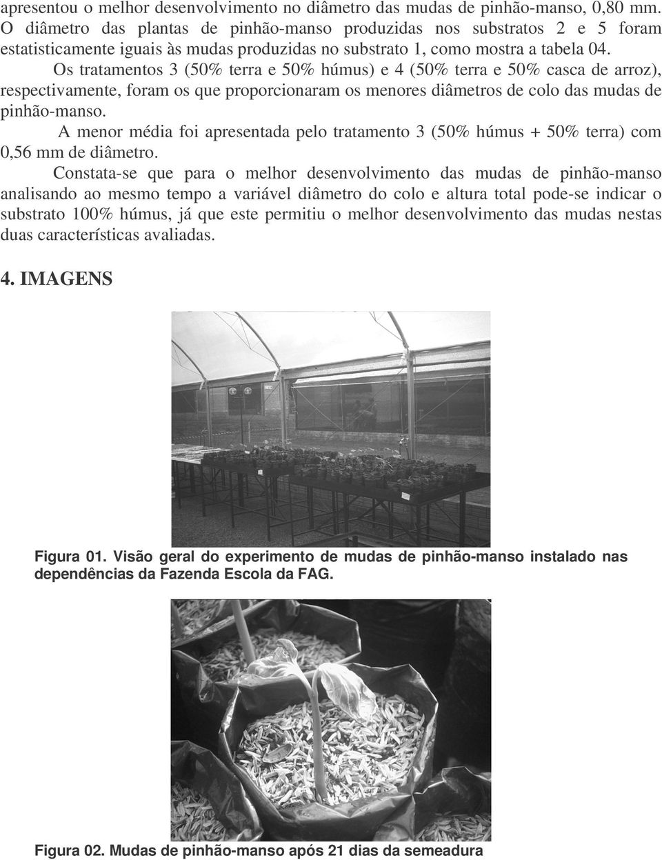 Os tratamentos 3 (50% terra e 50% húmus) e 4 (50% terra e 50% casca de arroz), respectivamente, foram os que proporcionaram os menores diâmetros de colo das mudas de pinhão-manso.