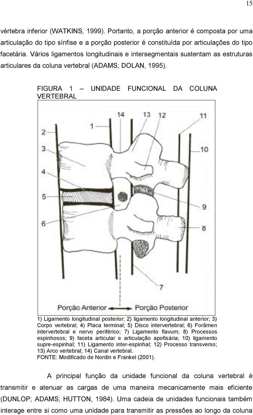 FIGURA 1 UNIDADE FUNCIONAL DA COLUNA VERTEBRAL 1) Ligamento longitudinal posterior; 2) ligamento longitudinal anterior; 3) Corpo vertebral; 4) Placa terminal; 5) Disco intervertebral; 6) Forâmen