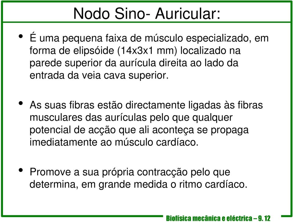 As suas fibras estão directamente ligadas às fibras musculares das aurículas pelo que qualquer potencial de acção que ali