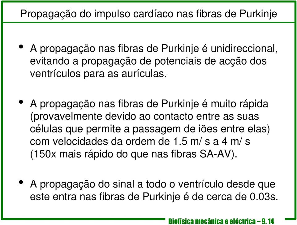 A propagação nas fibras de Purkinje é muito rápida (provavelmente devido ao contacto entre as suas células que permite a passagem de iões