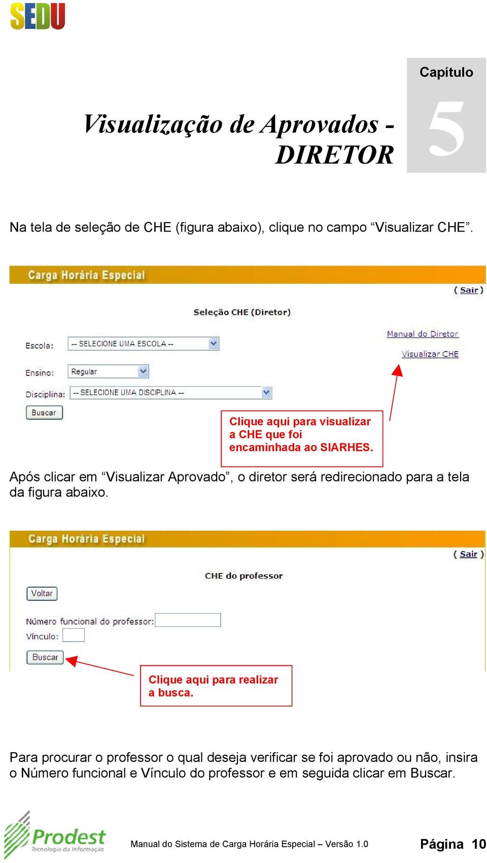 Após clicar em Visualizar Aprovado, o diretor será redirecionado para a tela da figura abaixo. Clique aqui para realizar a busca.