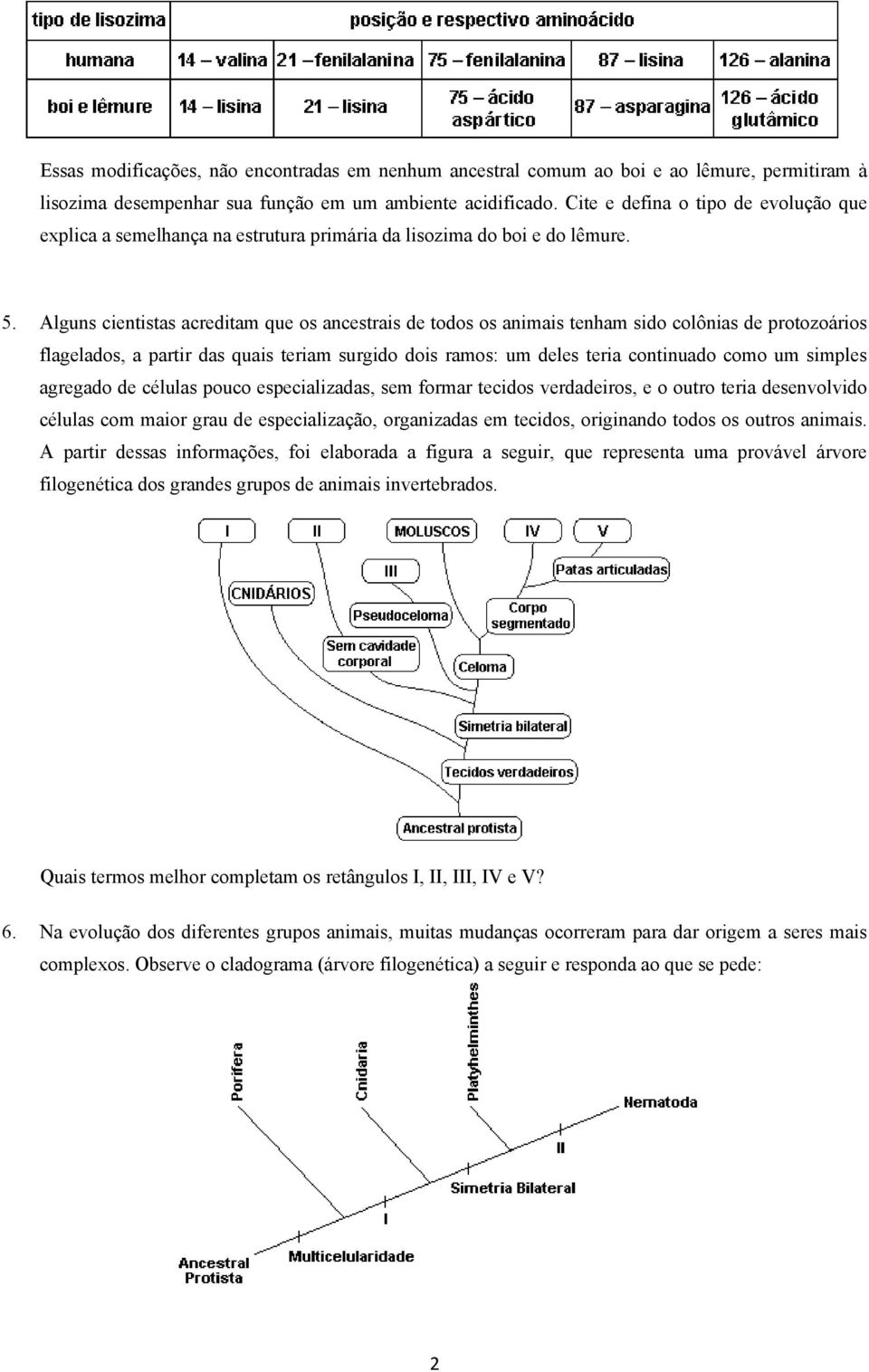 Alguns cientistas acreditam que os ancestrais de todos os animais tenham sido colônias de protozoários flagelados, a partir das quais teriam surgido dois ramos: um deles teria continuado como um