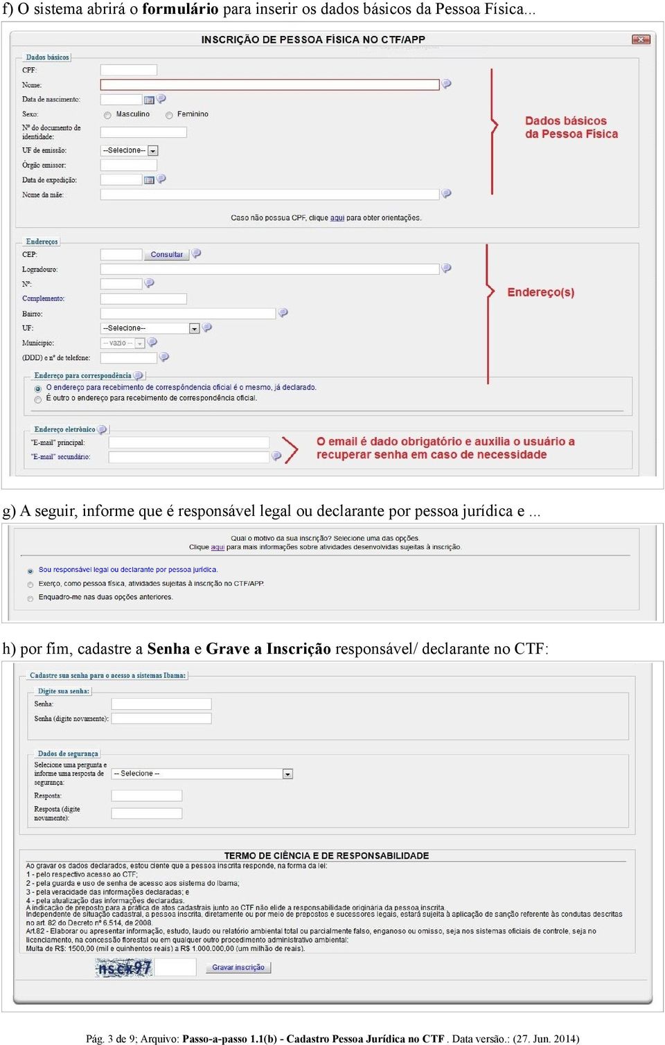 .. h) por fim, cadastre a Senha e Grave a Inscrição responsável/ declarante no CTF: Pág.