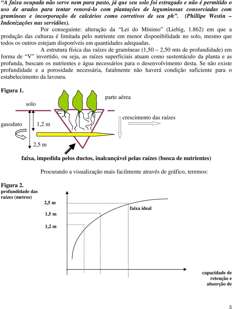 862) em que a produção das culturas é limitada pelo nutriente em menor disponibilidade no solo, mesmo que todos os outros estejam disponíveis em quantidades adequadas.