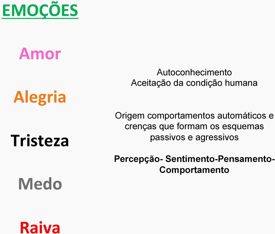 automáticos e crenças que formam os esquemas passivos e