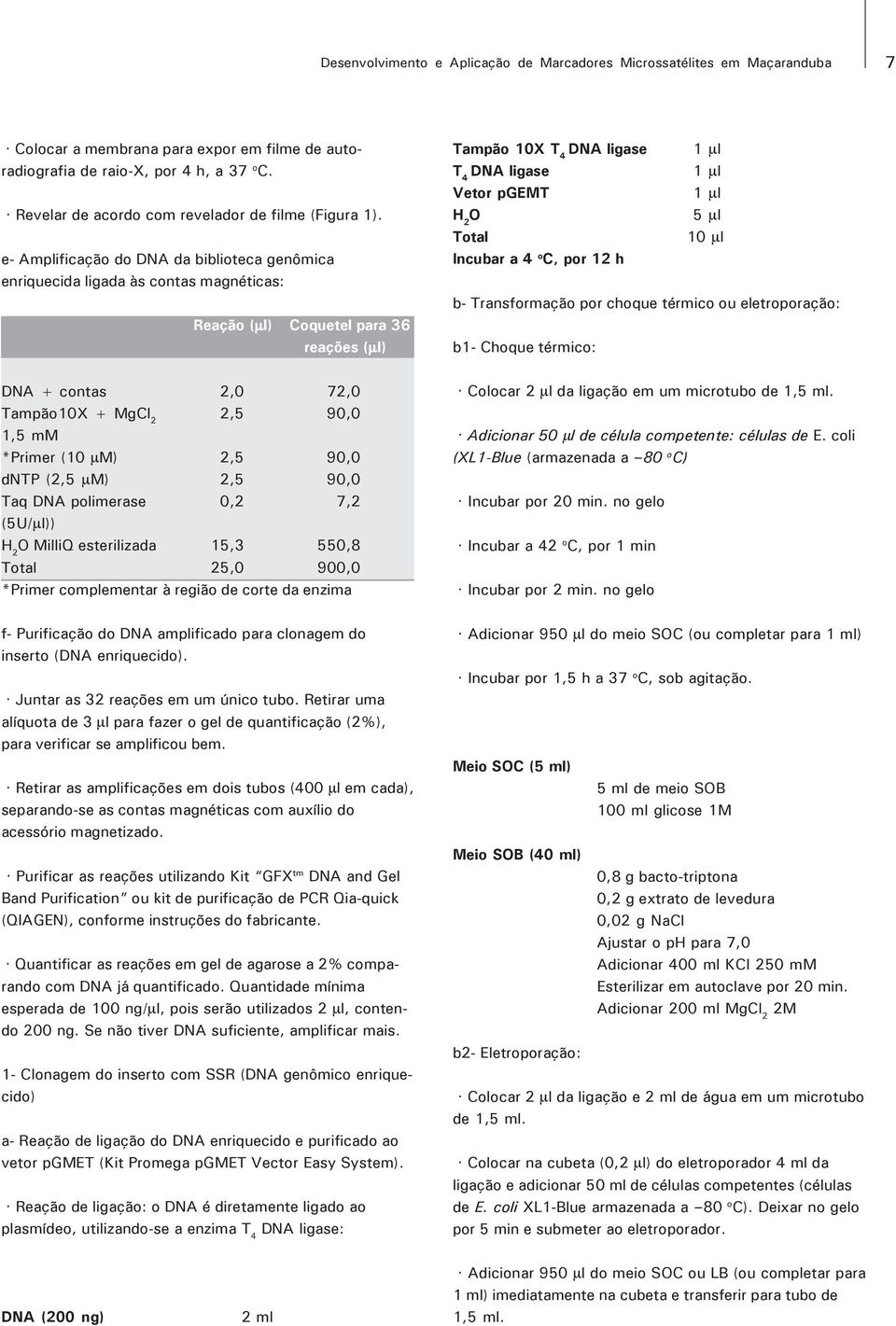 e- Amplificação do DNA da biblioteca genômica enriquecida ligada às contas magnéticas: Reação (µl) Coquetel para 36 reações (µl) DNA + contas 2,0 72,0 Tampão10X + MgCl 2 2,5 90,0 1,5 mm *Primer (10