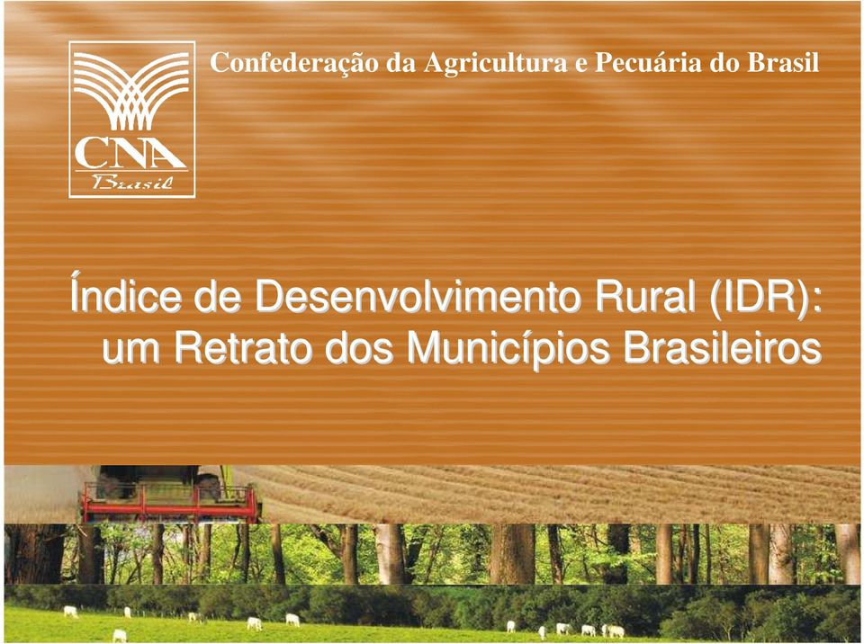 Desenvolvimento Rural (IDR): um
