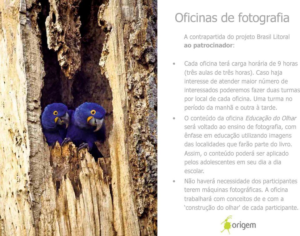 O conteúdo da oficina Educação do Olhar será voltado ao ensino de fotografia, com ênfase em educação utilizando imagens das localidades que farão parte do livro.