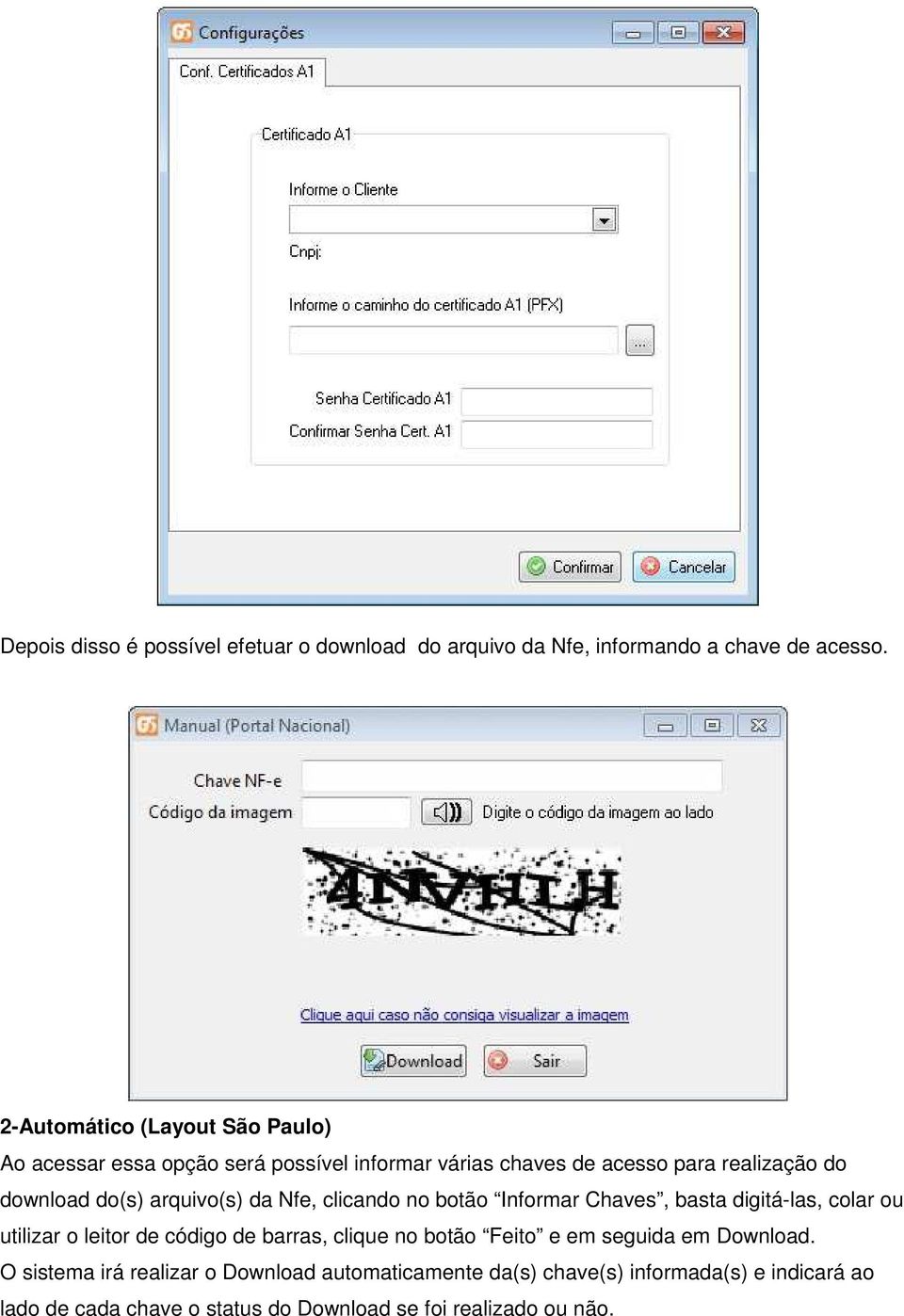 arquivo(s) da Nfe, clicando no botão Informar Chaves, basta digitá-las, colar ou utilizar o leitor de código de barras, clique no botão