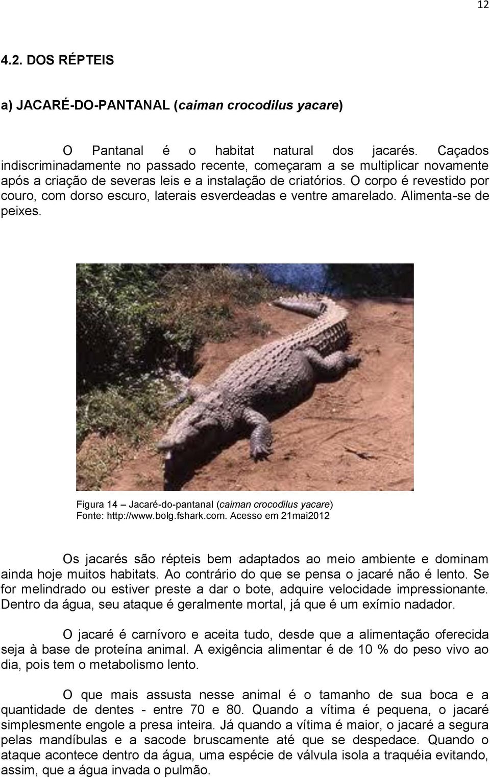 O corpo é revestido por couro, com dorso escuro, laterais esverdeadas e ventre amarelado. Alimenta-se de peixes. Figura 14 Jacaré-do-pantanal (caiman crocodilus yacare) Fonte: http://www.bolg.fshark.