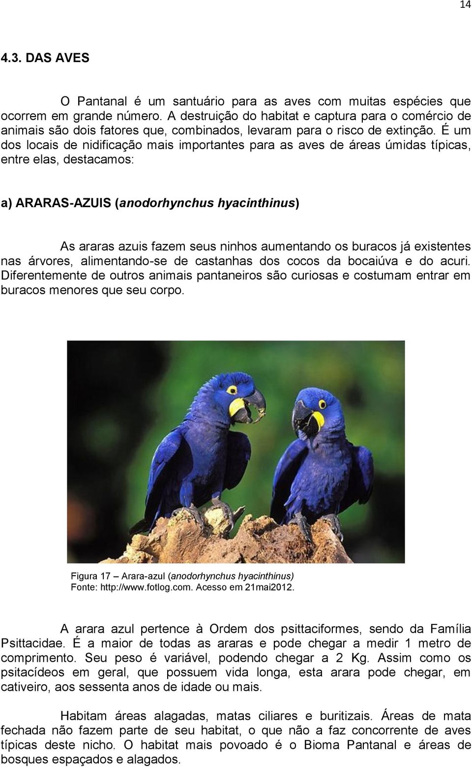 É um dos locais de nidificação mais importantes para as aves de áreas úmidas típicas, entre elas, destacamos: a) ARARAS-AZUIS (anodorhynchus hyacinthinus) As araras azuis fazem seus ninhos aumentando