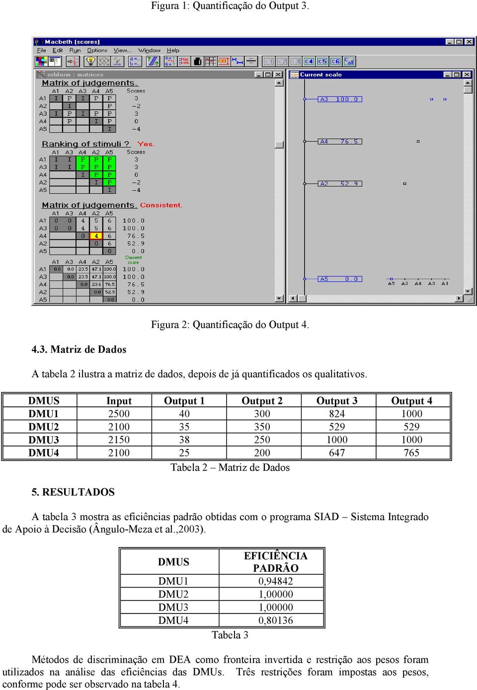 RESULTADOS A tabela 3 mostra as eficiências padrão obtidas com o programa SIAD Sistema Integrado de Apoio à Decisão (Ângulo-Meza et al.,2003).