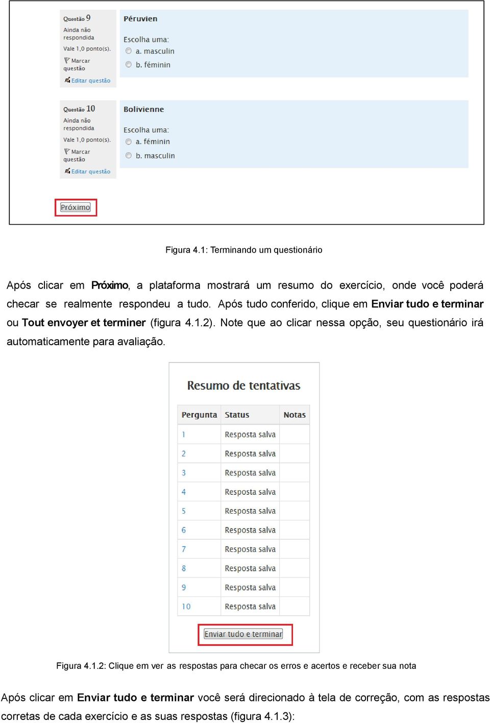 tudo. Após tudo conferido, clique em Enviar tudo e terminar ou Tout envoyer et terminer (figura 4.1.2).