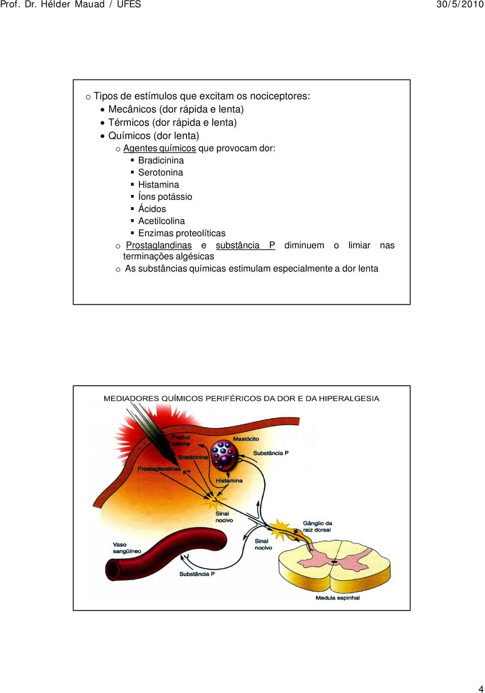 Histamina Íons potássio Ácidos Acetilcolina Enzimas proteolíticas o Prostaglandinas e substância P