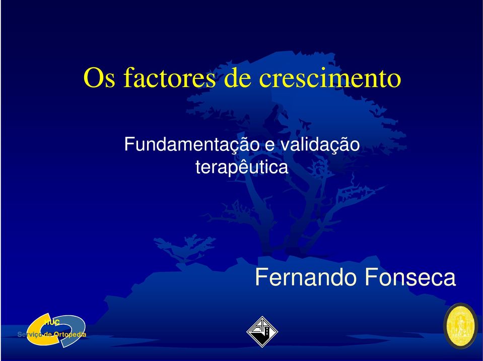 Fundamentação e