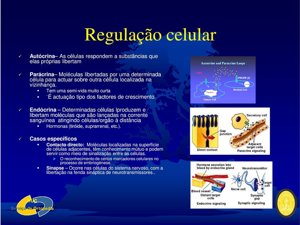 Endócrina Determinadas células lproduzem e libertam moléculas que são lançadas na corrente sanguínea atingindo células/orgão à distância Hormonas (tiróide, suprarrenal, etc.).