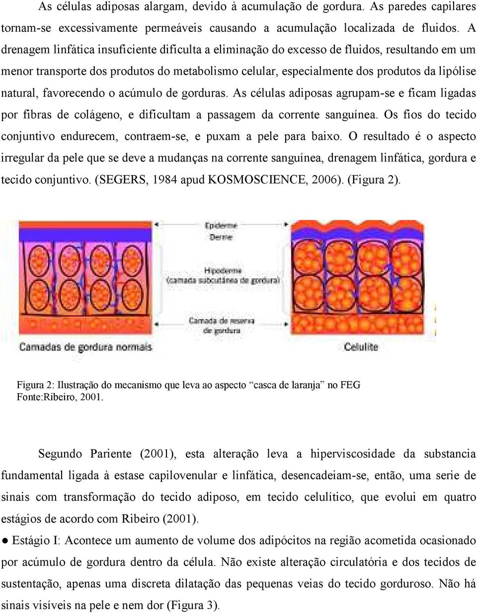 favorecendo o acúmulo de gorduras. As células adiposas agrupam-se e ficam ligadas por fibras de colágeno, e dificultam a passagem da corrente sanguínea.