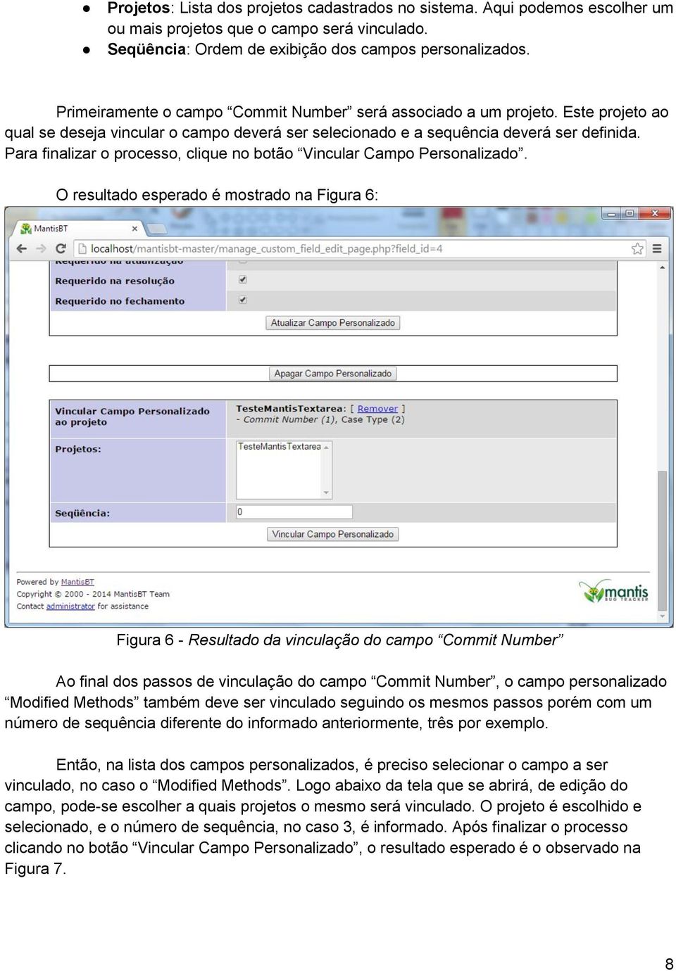 Para finalizar o processo, clique no botão Vincular Campo Personalizado.