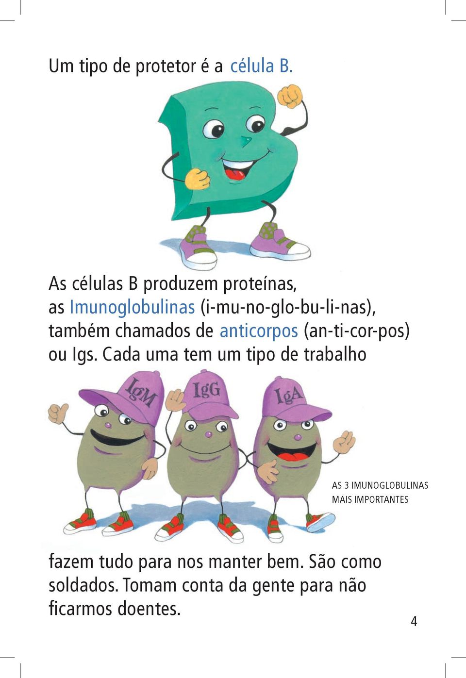 chamados de anticorpos (an-ti-cor-pos) ou Igs.