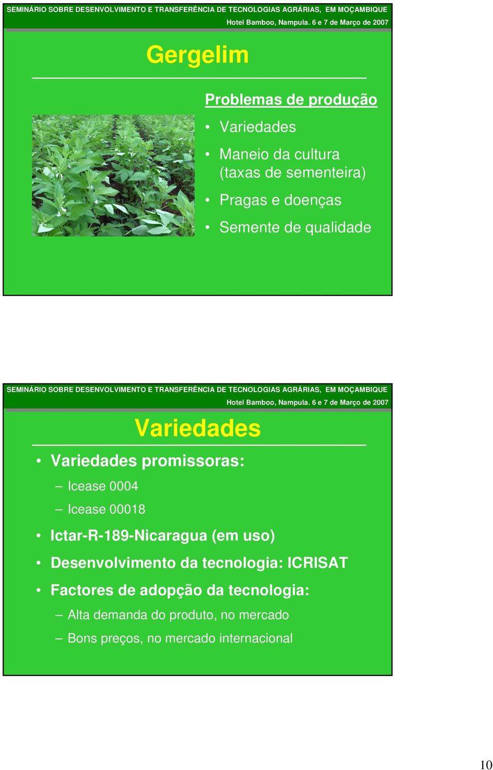 TRANSFRÊNCIA TRANSFRÊNCIA D D TCNOLOGIAS TCNOLOGIAS M M 200 200 Varidas Varidas promissoras: Icas 0004 Icas 00018 Ictar-R-189-Nicaragua