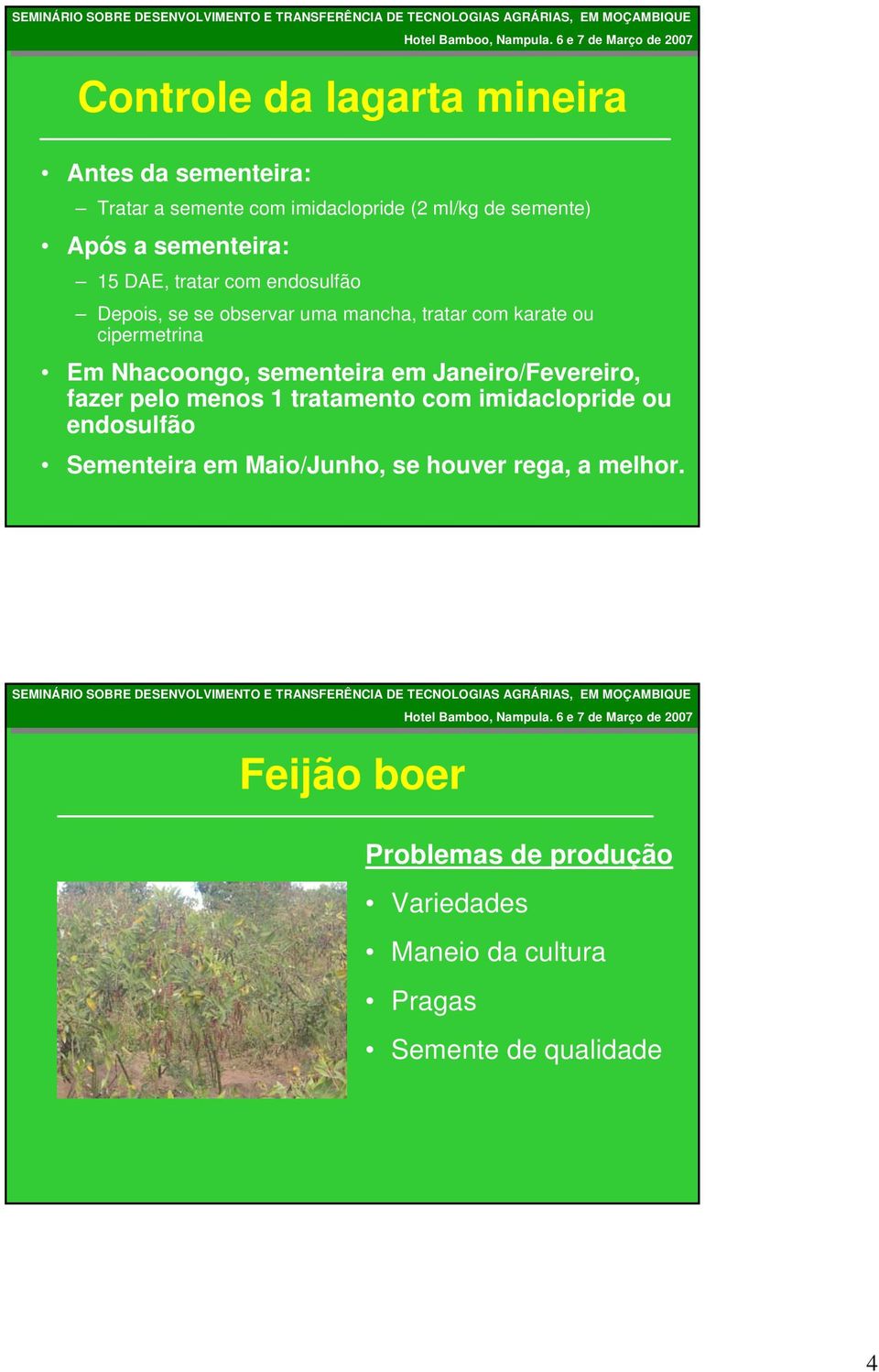 Nhacoongo, smntira m Janiro/Fvriro, fazr plo mnos 1 tratamnto com imidaclopri ou ndosulfão Smntira m Maio/Junho, s houvr rga, a mlhor.