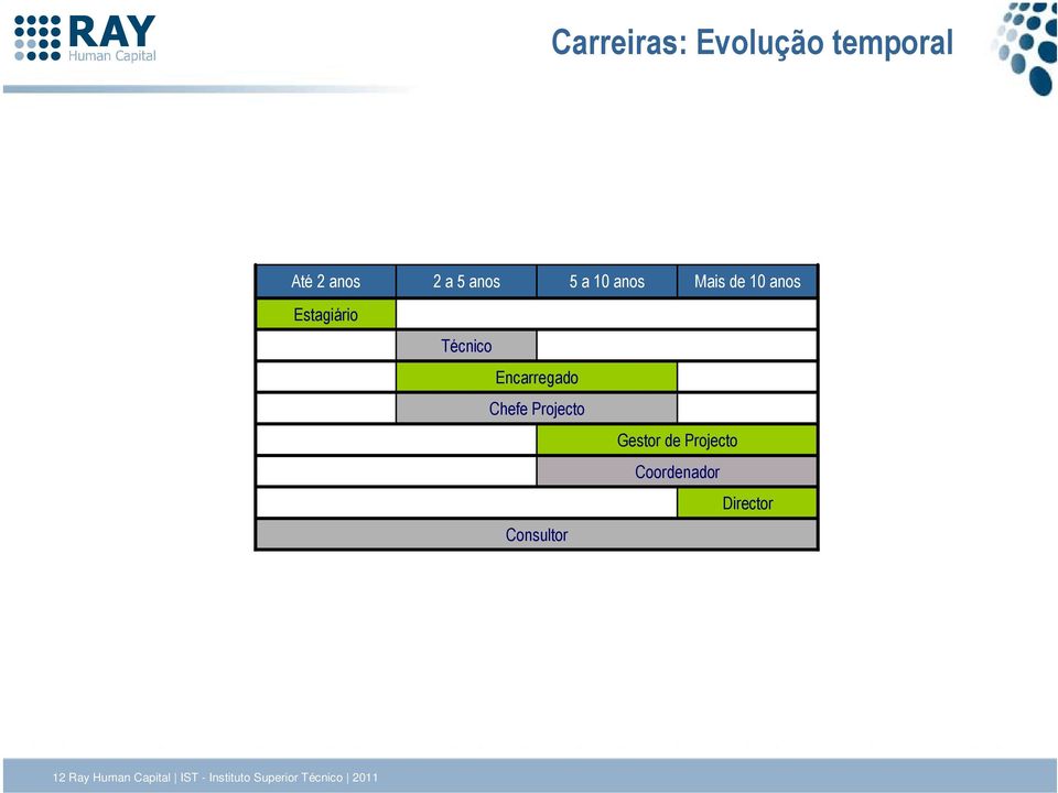 Projecto Consultor Gestor de Projecto Coordenador Director