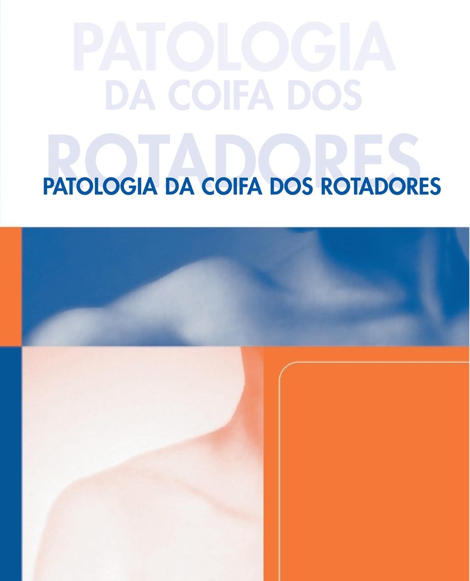 ROTADORES  