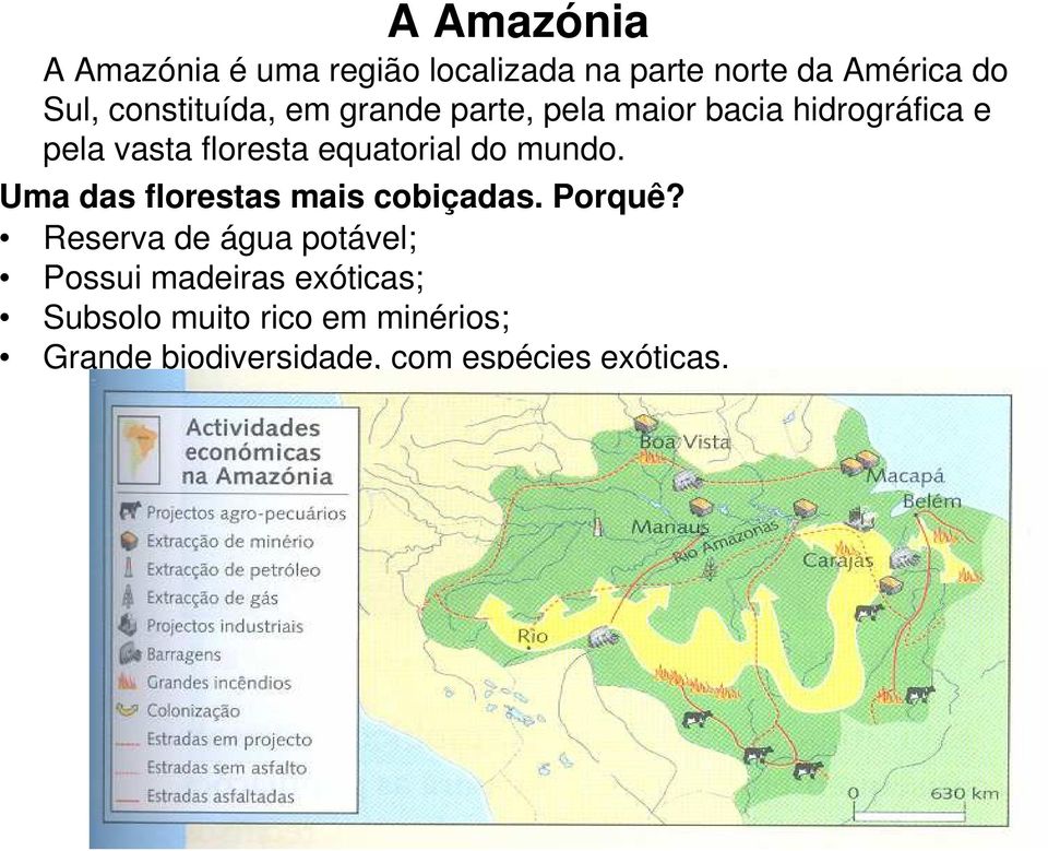 equatorial do mundo. Uma das florestas mais cobiçadas. Porquê?