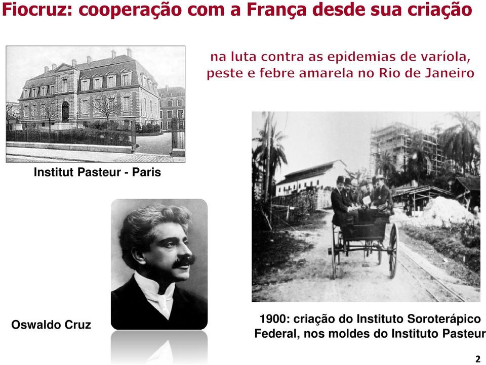 Cruz 1900: criação do Instituto