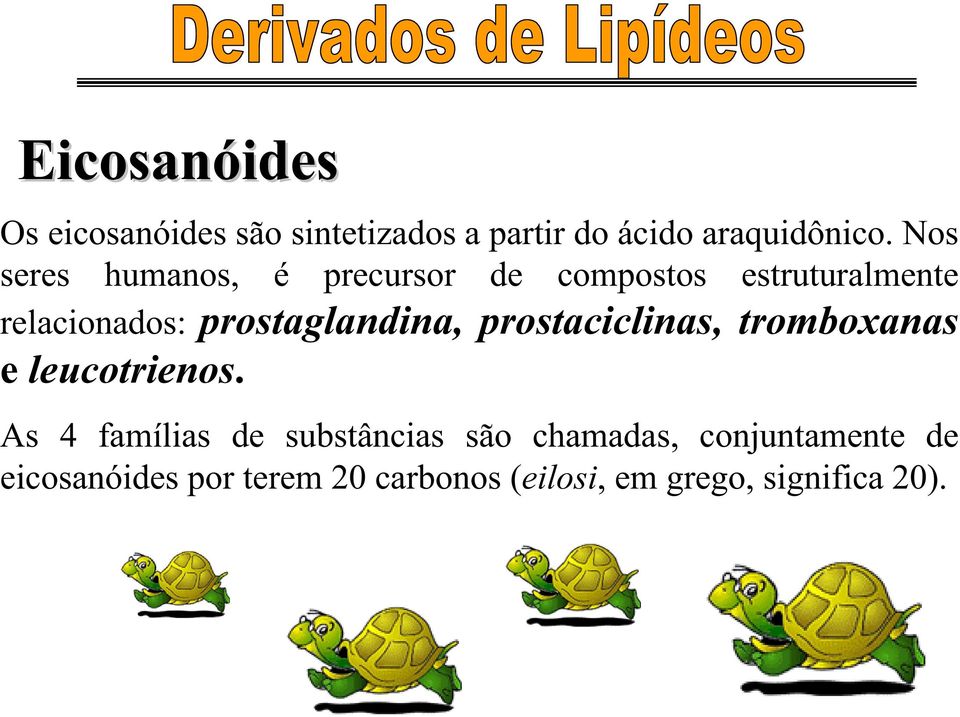 prostaglandina, prostaciclinas, tromboxanas e leucotrienos.