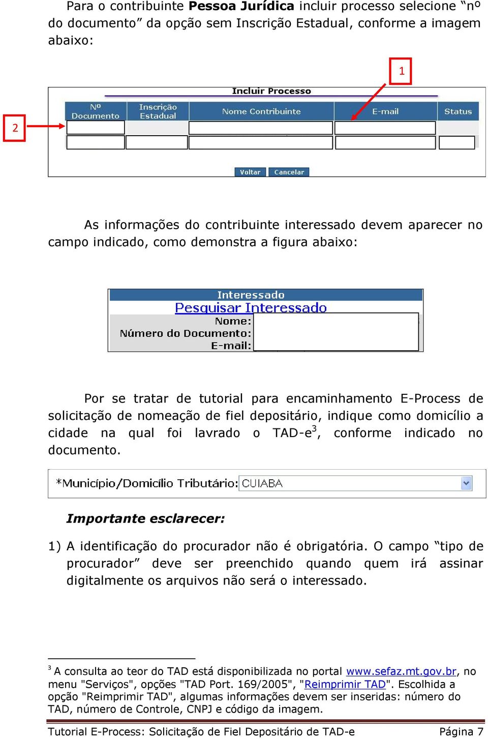 lavrado o TAD-e 3, conforme indicado no documento. Importante esclarecer: 1) A identificação do procurador não é obrigatória.