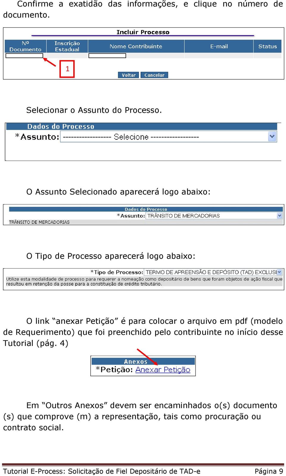 pdf (modelo de Requerimento) que foi preenchido pelo contribuinte no início desse Tutorial (pág.