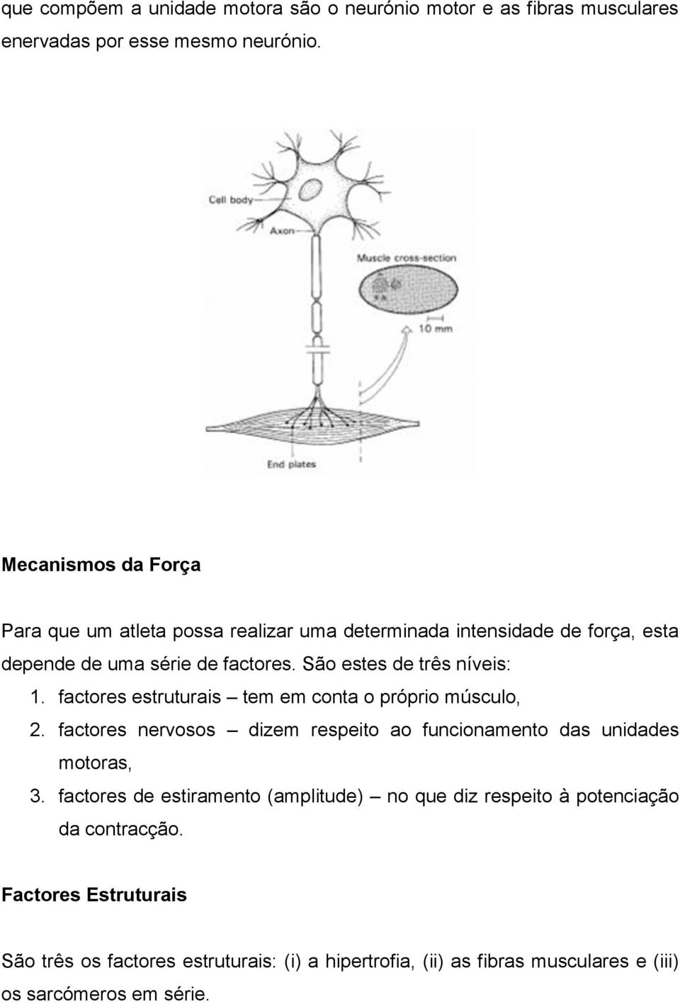 São estes de três níveis: 1. factores estruturais tem em conta o próprio músculo, 2.