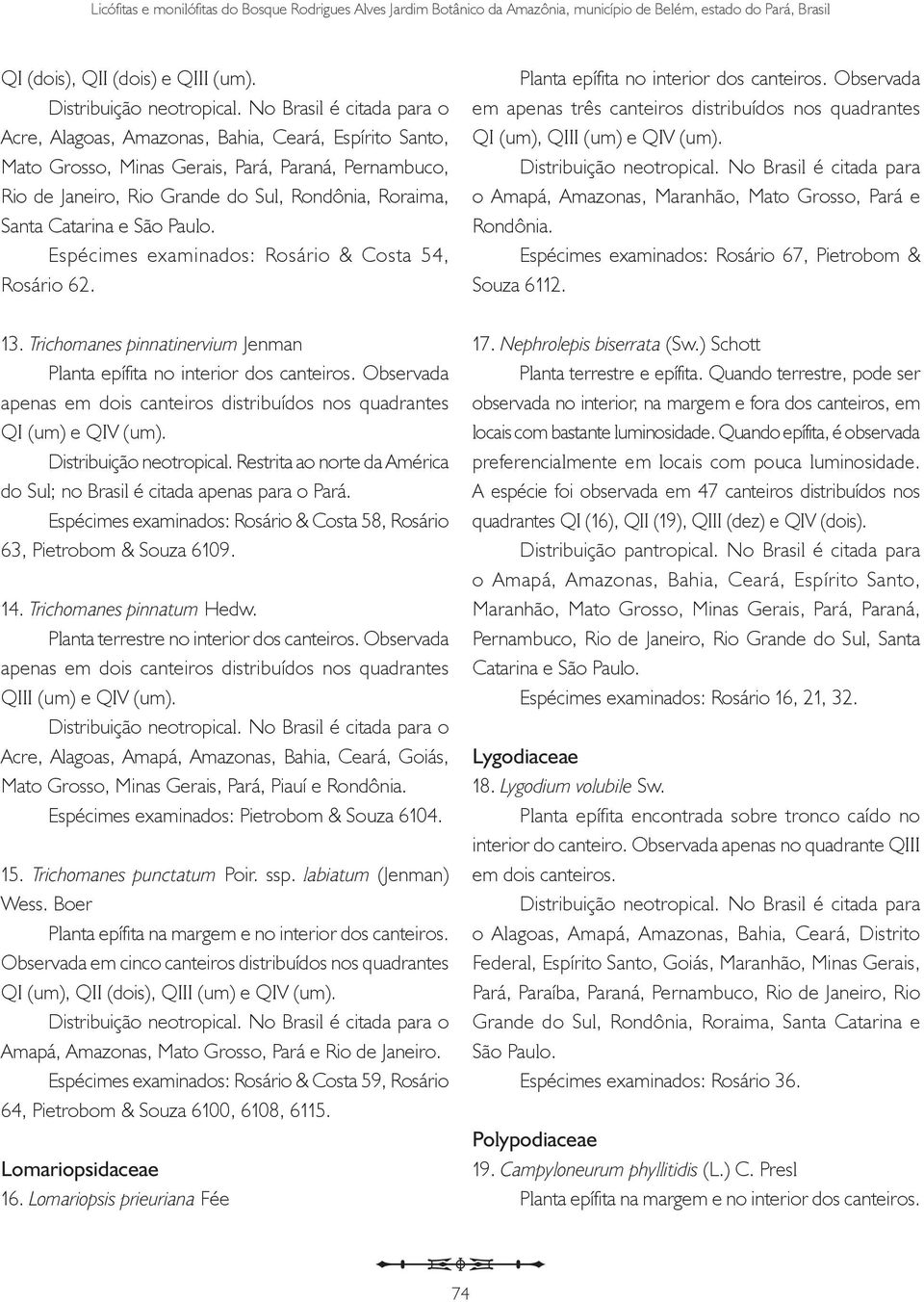 Espécimes examinados: Rosário & Costa 54, Rosário 62. 13. Trichomanes pinnatinervium Jenman Planta epífita no interior dos canteiros.