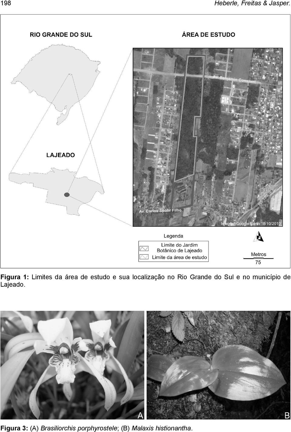 localização no Rio Grande do Sul e no município de